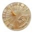 Tepus Fugit Brass Sundials 016 66x66 - "Be True" Polished Sun Dial